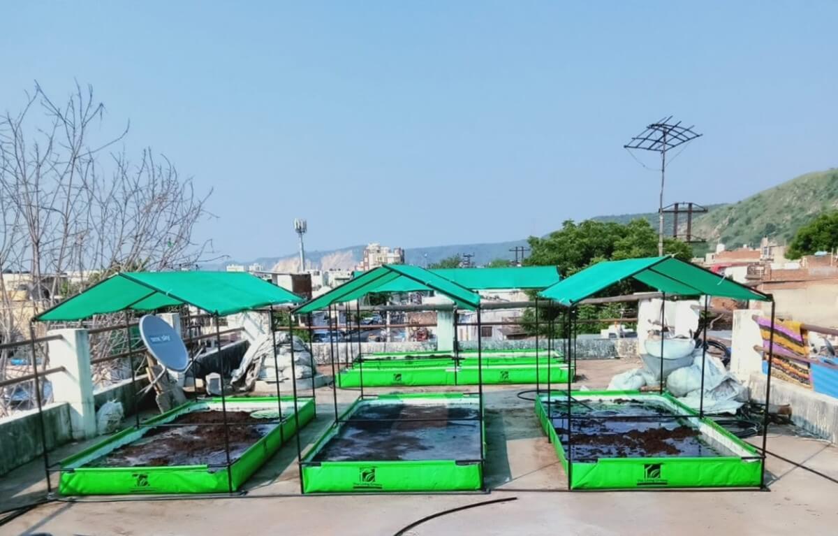 Rooftop farming on the roof of Mamta Public School in Jaipur.