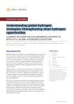 Understanding global hydrogen strategies: Strengthening clean hydrogen opportunities
