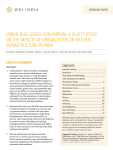 URBAN BLUE-GREEN CONUNDRUM: A 10-CITY STUDY ON THE IMPACTS OF URBANIZATION ON NATURAL INFRASTRUCTURE IN INDIA