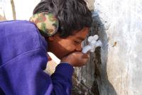 Photo Courtesy: WRI/Flickr