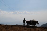 India’s climate action commitment is eagerly anticipated in the world. Photo by WRI