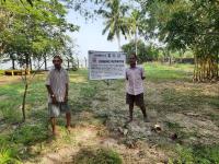 Kawaki is a strategic urban greening program that follows a well-planned and implemented methodology.