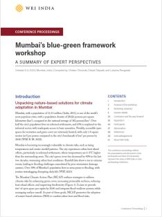 Mumbai's blue-green framework workshop