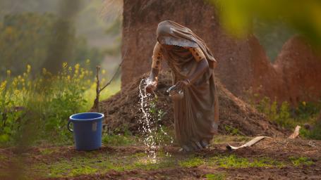 Woman in Hadbado village irrigating the Poshan Vatika in her backyard. Photo by WRI India.