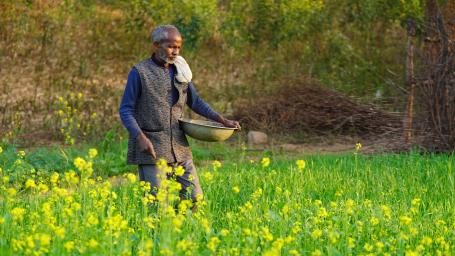 A farmer tends to his fields in Sidhi, Madhya Pradesh. Photo by WRI India.