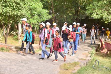 A food garden at the Bharat Scouts and Guides District Training Center developed with the help of young students. Photo by WRI India.