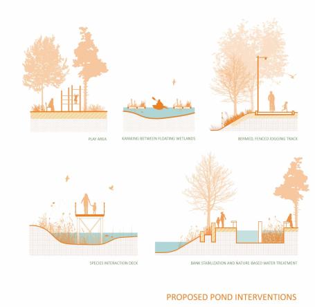 Conceptual design strategies for socio-ecological restoration of Nurpur Pond. Graphic by Pramada Jagtap/WRI India.