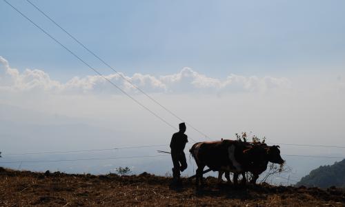 India’s climate action commitment is eagerly anticipated in the world. Photo by WRI