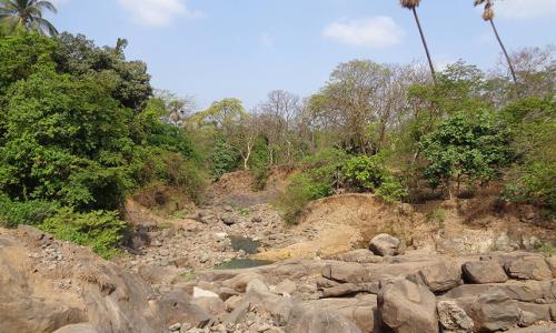 The Mithi is an urban river whose course has been trained and altered over the years, for almost its entire 17 km stretch.