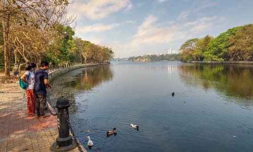 NBS is emerging where innovative business models and inclusive governance practices have leveraged public investment and successfully gained private sector support. Photo by Roop Dey/Shutterstock