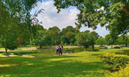 Bigger cities in India like Mumbai, Chennai, Hyderabad etc., are moving towards extensive greening of spaces but the underlying social, political and economic impacts of such land-use change is yet to be fully understood. Photo by Prima Prottasha/Unsplash