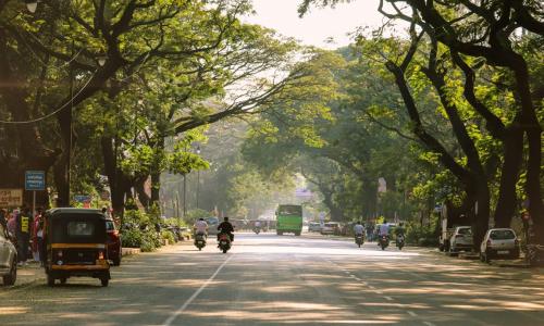 Cities around the world are demonstrating growing interest in investing in nature-based solutions. Photo by Onkar Gotale/Unsplash