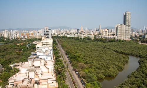 Arial view of roads and mangroves in Mumbai. Photo by Parikh Mahendra N/Shutterstock.