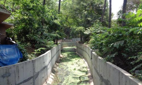 Water channel conveying overflow from Powai Lake to the Mithi River