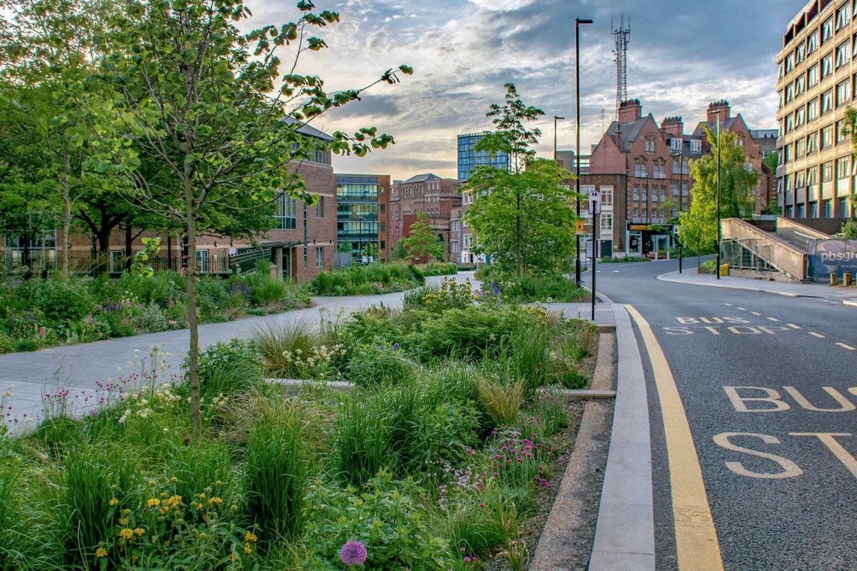 Green street section in Sheffield with permeable lane surfaces, planters, rain gardens to enable stormwater management. Green street section in Sheffield with permeable lane surfaces, planters, rain gardens to enable stormwater management.